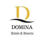 Logo Domina