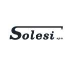 Logo Solesi